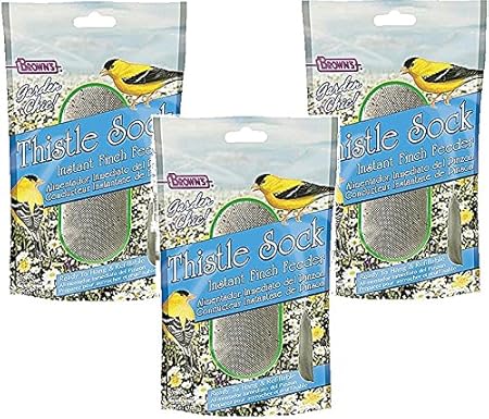 Amazon Com F M Brown S 3 Pack Garden Chic Thistle Sock Finch