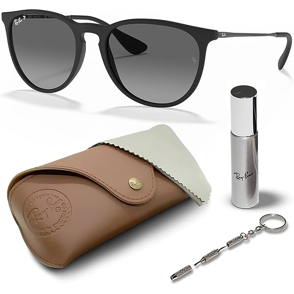 小物 RayBan ERIKA CLASSIC RB4171F ERIKA CLASSIC Sunglasses in Black and G-15 Green - RB4171F