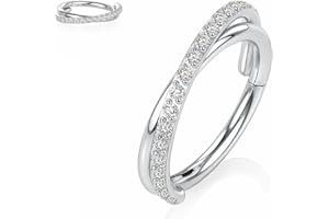 Yrogcu 20G 18G 16G 14G Single/Double Hoop Stainless-Steel Seamless-Hinged-Piercing Segment-Clicker Nose-Ring-Hoop : Diameter 6mm 8mm 10mm 12mm Cartilage Earrings