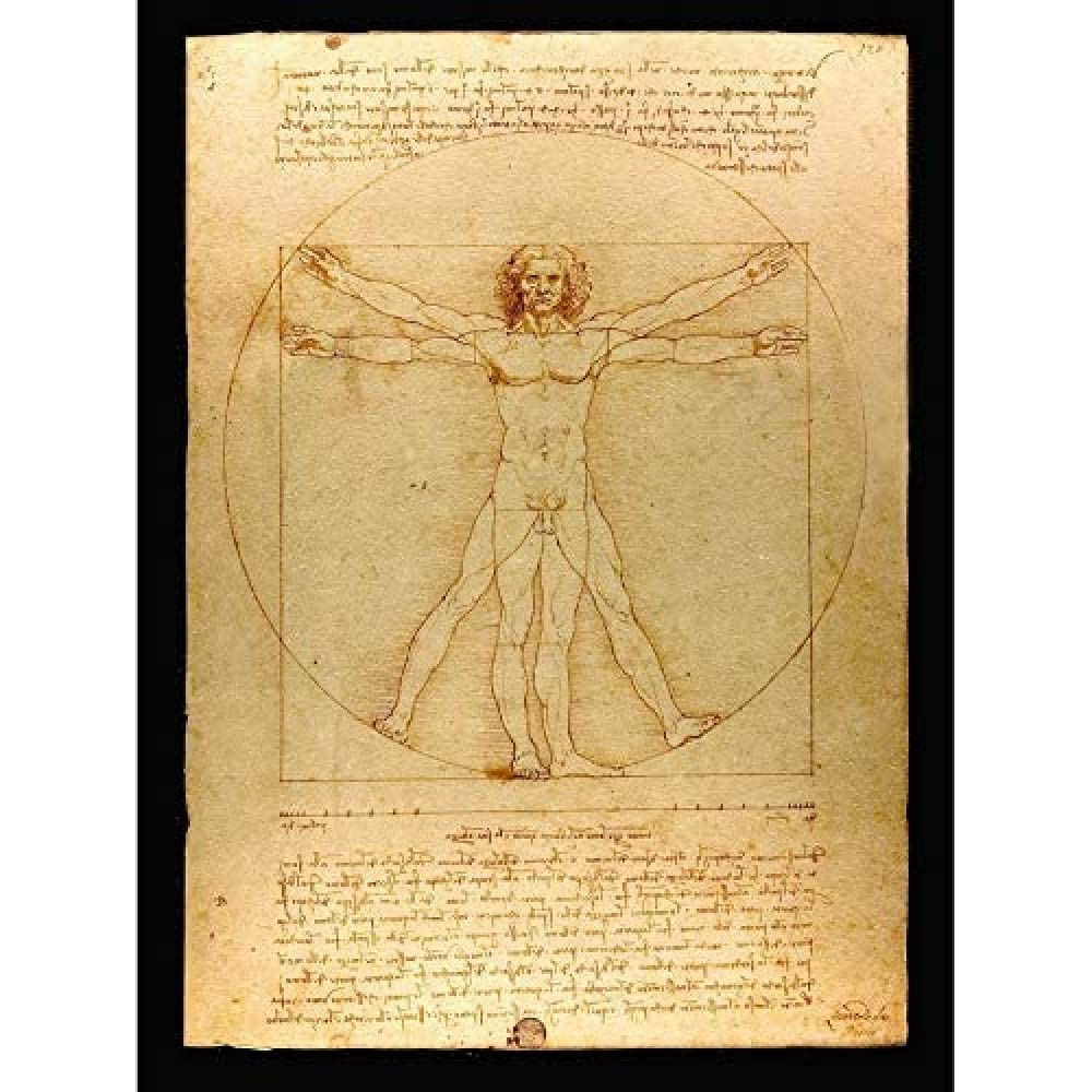 Fine Art Prints Da Vinci Vitruvian Man Human Proportions 1490 Diagram Art Print Canvas Premium Wall Decor Poster Mural,Gold,16 x 12 inches