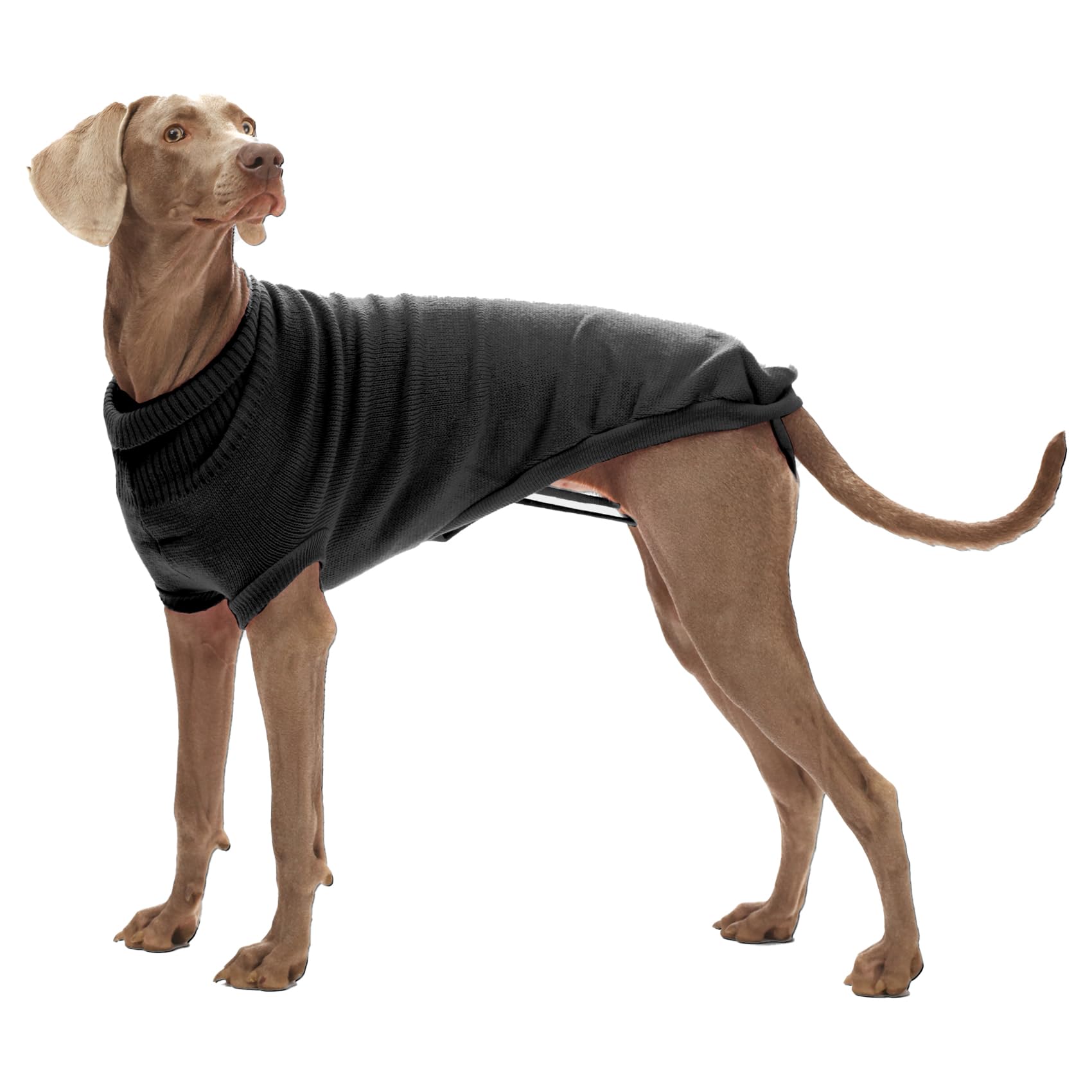 CROCI Stockholm Turtleneck Sweater, 80 cm, Black