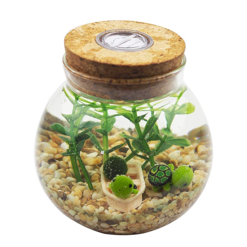 OMEM LED Aquarium Set Moss Ball, Seaweed, Gravel, Tortoise, Boat Micro Landscape Ecological Bottle Glass Wishing Bottle Table Decoration Unique Birthday Gift