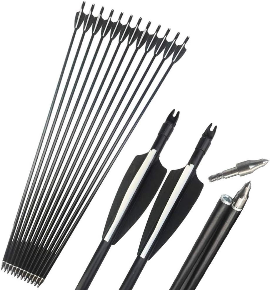 Milaem Fiberglass Arrows 31 Inch 500 Spine Targeting Arrow for Archery Training With Replaceable Arrow Point (Pack of 12)