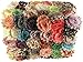 Chiffon Fabric Flowers for Crafts - Bulk Fabric Flowers Pack of 50 Assorted Colors and Prints