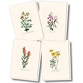 Earth Sky + Water - Western Wildflower Assortment Notecard Set - 8 Blank Cards with Envelopes (2 each of 4 styles)