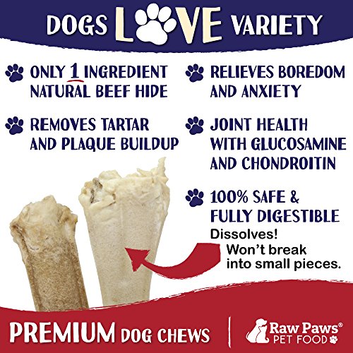 Raw Paws Dog Treats Variety Pack 10