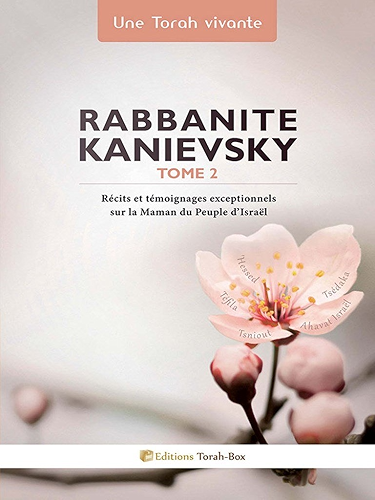 Download Rabbanite Kanievsky - Tome 2 PDF