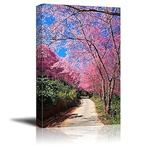 Canvas Prints Wall Art - Sakura Pink Road in Chiang Mai, Thailand | Modern Wall Decor/Home Decoration Stretched Gallery Canvas Wrap Giclee Print. Ready to Hang - 12" x 18"