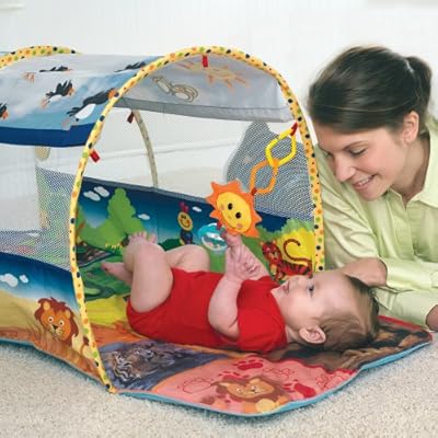 baby einstein tunnel