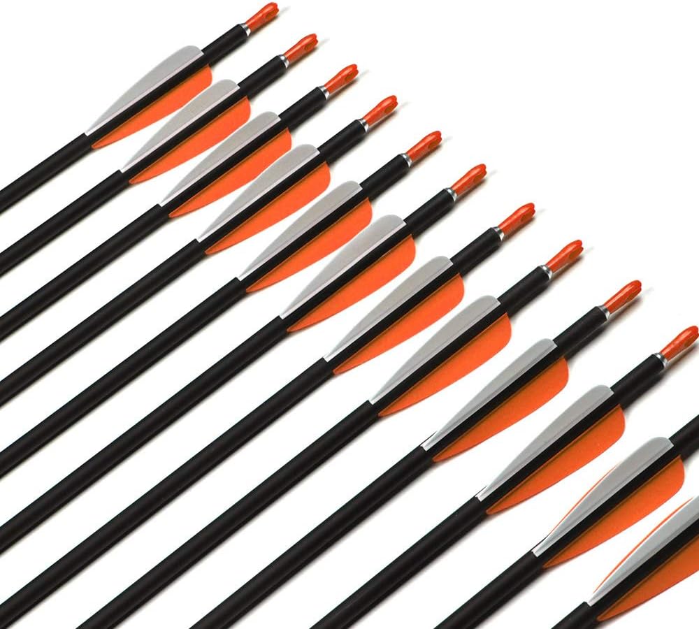ANTISR 30" Carbon Arrows OD.275 with Interpolated Tips and Anti-Nail Nock for Compound & Recurve Bow(Pack of 12) : Sports & Outdoors