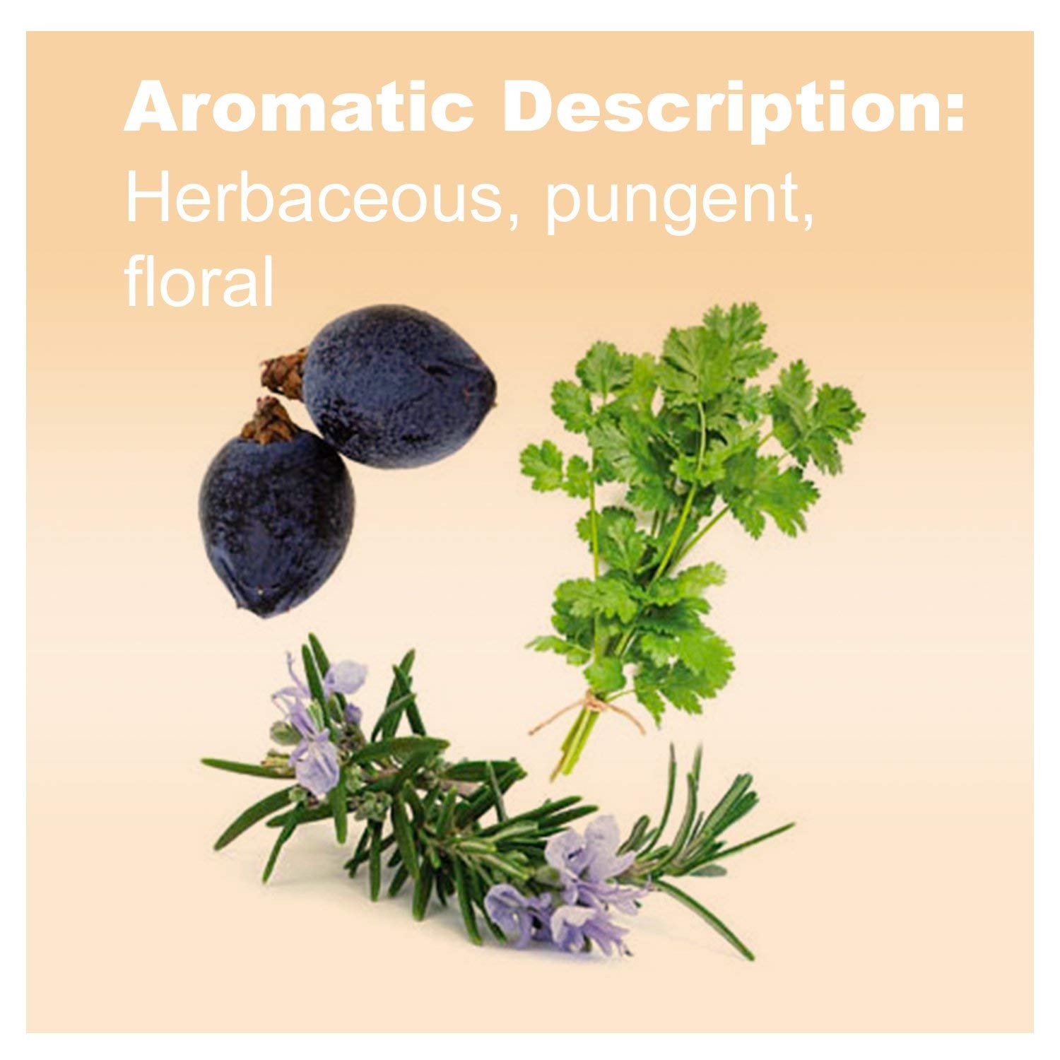 doTERRA Rosemary, Cilantro, and Juniper Berry Essential Oil - 15 mL - Detoxifying