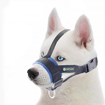 muzzle training for biting