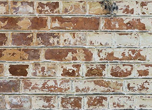 Home Decor Line Cr67249 Old Bricks Kitchen Panel