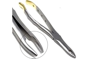 A2Z SCILAB Dental Extracting Extraction Serrated Forceps #41, for Upper Roots, Premium Quality Gold Handle, Stainless Steel