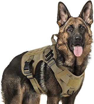 Rabbitgoo Escape Proof Dog Harness No Pull Adjustable Reflective Working Pet Vest Dog Harness With Handle Dog Lift Support Harness For Outdoor Training Walking L Black Amazon Co Uk Pet Supplies