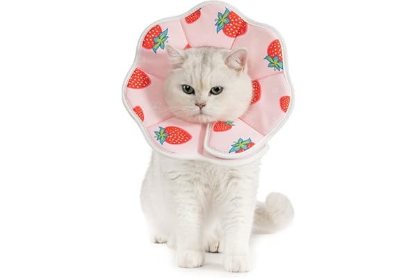 Avont Soft Cat Recovery Cone Collar, Adjustable Lightweight Kitten E-Collar for Small Dogs, Comfortable Neck Donut Stop Licki