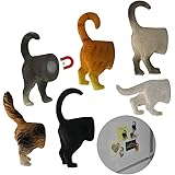 6 Pack - Evelots Refrigerator Magnets-Cat Butts-Photo/Key Holder-6 Popular Breeds