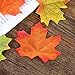 CEWOR 1000pcs Assorted Artificial Maple Leaves Mixed Fall Colored for Wedding Home Thanks-Giving Events and Outdoor Decoration (Artificial Maple Leaves)