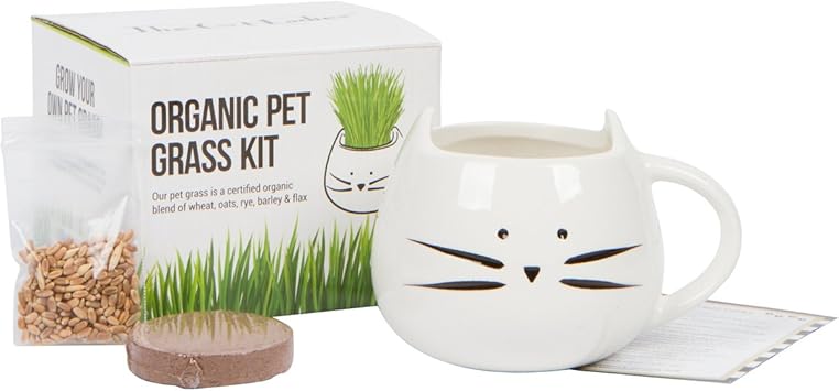 cat grass growing kit