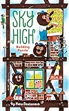 Sky-high Building Puzzle