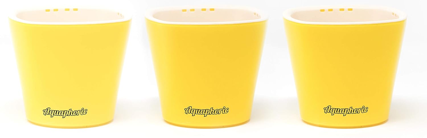 Best Herb Garden Box Lavender