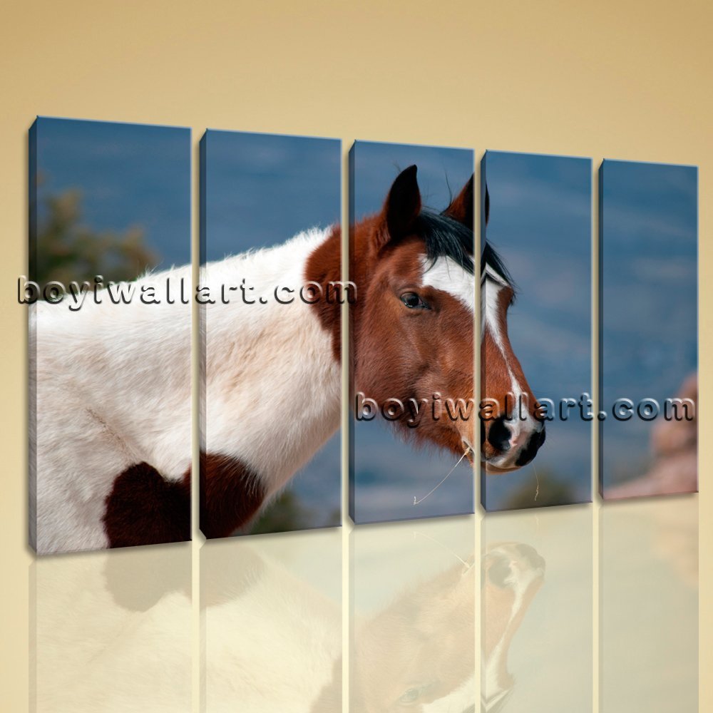 Large Wall Art HD Print On Canvas Horse Photo Contemporary