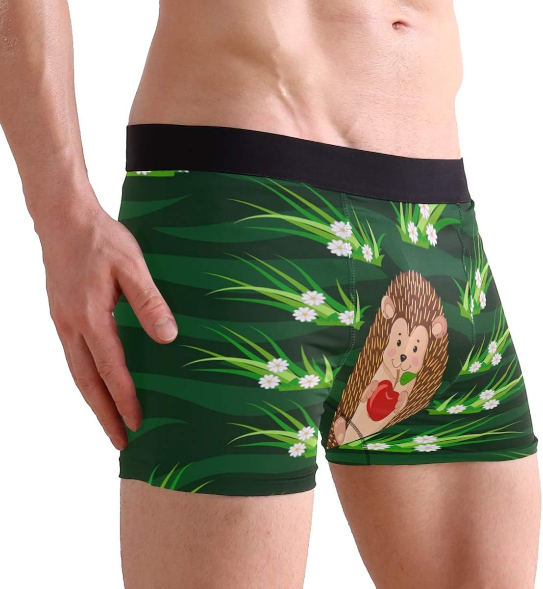novacleanenergy.com MOFEIYUE Mens Boxer Briefs Cute Animal Hedgehog Apple Soft Short Underpants ...