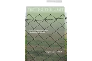 Testing the Limit: Derrida, Henry, Levinas, and the Phenomenological Tradition (Cultural Memory in the Present)