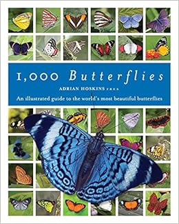 Get 1000 Butterflies An Illustrated Guide To The World S Most Free HD Wallpaper 1000 Butterflies An Illustrated Guide To The World S Most For iPhone Free