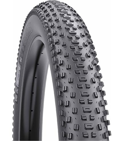 Amazon.com : WTB Ranger Mountain Bike Tire (27.5