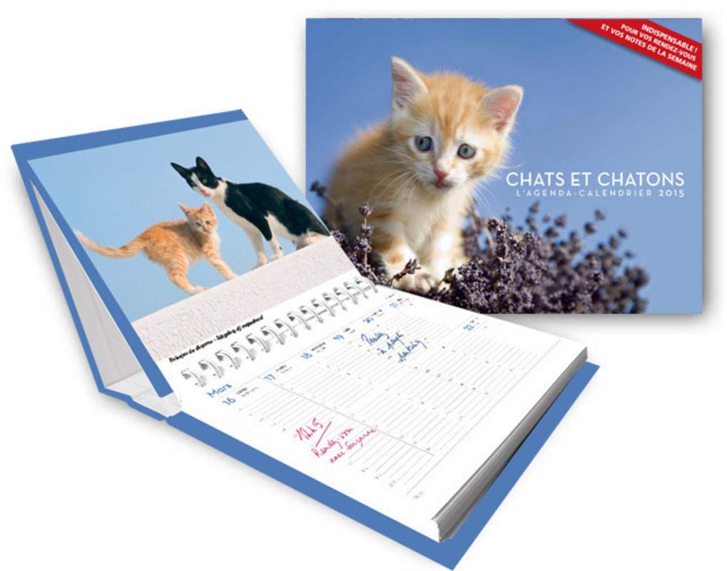 L Agenda Calendrier Chats Et Chatons 15 French Edition Collectif Amazon Com Books