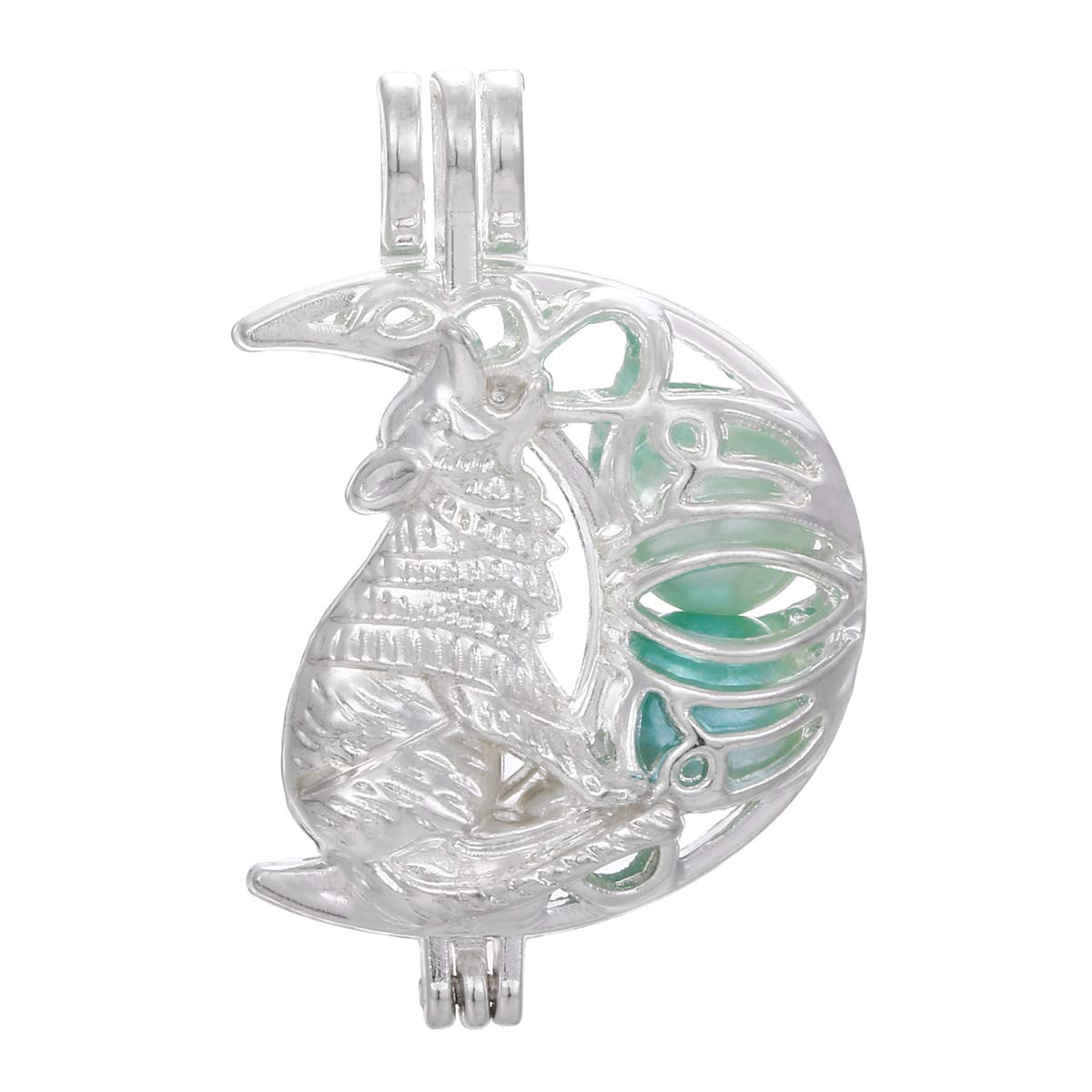 10pcs Silver Pearl Cage Locket Pendants Essential Oil Diffuser Diy - Main Image