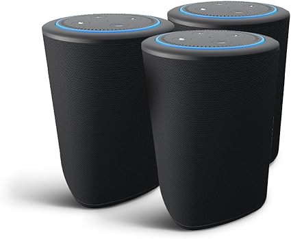 echo multi room audio