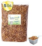 Backyard Pals Mealworms Bulk Dried Mealworms with Scoop, 5 lbs