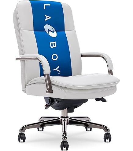 専用ページ 80個 Luna様 Amazon.com: La-Z-Boy Sonata Executive Mid-Back Office Chair