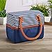 Fit & Fresh Ivy Insulated Dual Compartment Lunch Bag, Classic, All-Purpose Bag for Adults and Kids, Navy Nautical Stripe