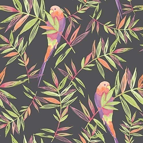 Rasch Parrots Bird Pattern Tropical Leaf Leaves Painted Motif Wallpaper (Black Orange Green 209211)
