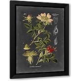 Vision Studio 18x24 Black Modern Framed Art Print Titled Midnight Botanical I