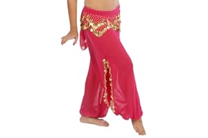 MISS BELLY DANCE Bellydancer Chiffon Harem Pants with Side Slits | Maiden Dance