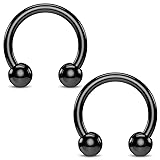 BodyJ4You 2PCS Horseshoe Circular Barbell Black