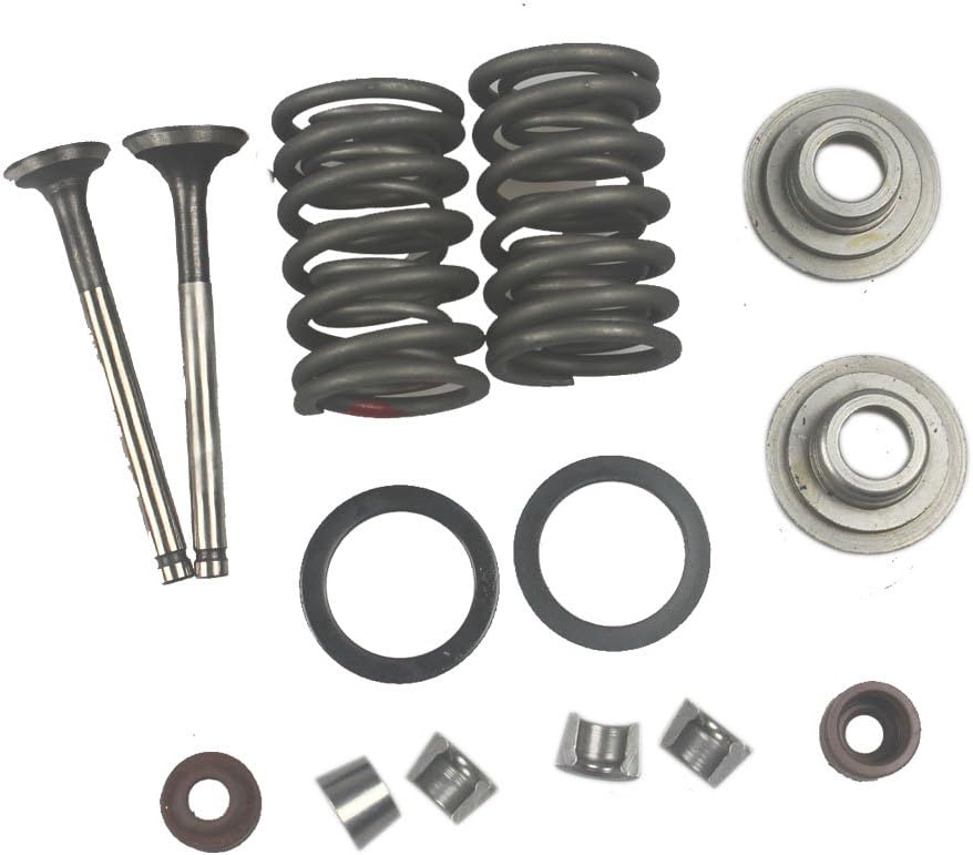 winsgmoto Wings Intake and Exhaust Valves Kit GY6 50cc Moped Scooter 139QMB Engine