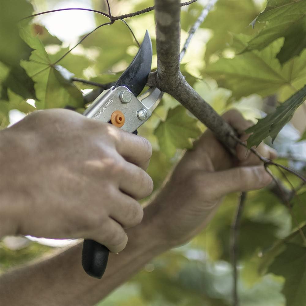 Fiskars Steel Bypass Pruning Shears (91095935J) : Hedge Shears : Garden & Outdoor