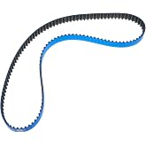 Gates T262RB Timing Belt | Replaces TB262 CET262 037109119C 048109119D 026-0326 026-1008 94302 94723 95262 95262FN B262 T262 40262 250262 CD-262.