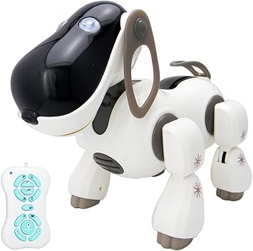 remote control dog toy