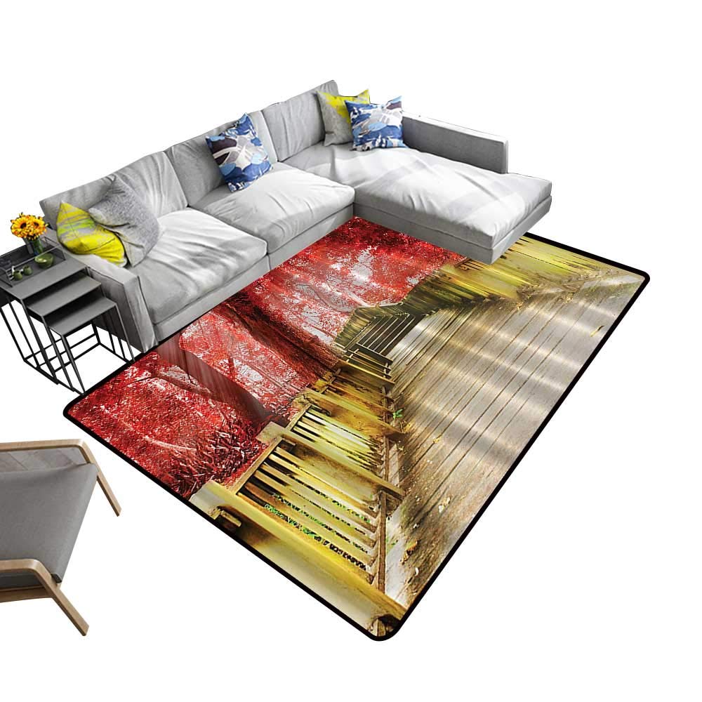 Amazon Com Alsohome Polyester Area Rug Mat Rustic Anwooden Door