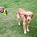 Retractable Dog Leash Extendable for Small Medium Large Dogs One Button Break & Lock Easy Control-Extends up to 5 Meters Up to 110 lbs by Pecute