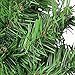 Northlight Colorado Spruce 2-Tone Artificial X-Mas Wreath, Green