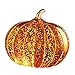 Collections Etc LED Light Up Decorative Pumpkin