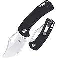 Kizer Urban Bowie Pocket Knife with Clip, Mini Folding Knife with 154CM Steel Blade and Black G10 Handle, EDC Hunting Knife, Portable Survival Knife for Men, V2578C1
