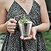 Cocktail Mint Julep Cup – 12 Oz Stainless Steel Mint Julep Glasses (Hammered) (4)
